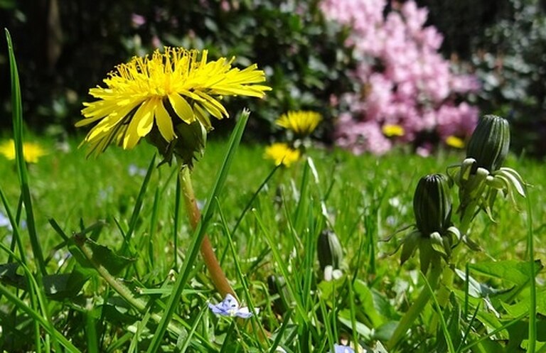 dmt0dhzode3egidtygm5gh30zhnd4gcn