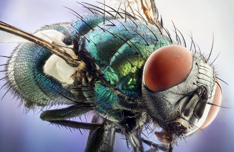 lrjrovcprp87z8a89hun2xnf6hg1wzd3