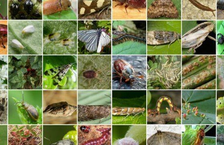 8cfe529e62502e87a48d3a2e4e80d8cd