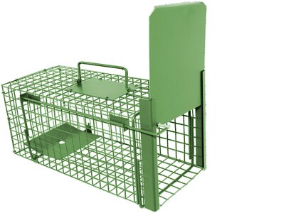 Живоловка для мелких грызунов