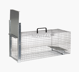 Живоловка для кошек